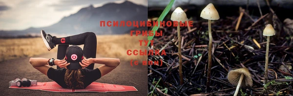 прущий лед Волосово
