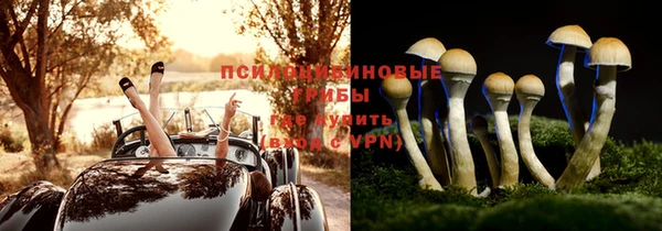 прущий лед Волосово