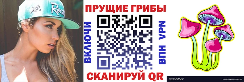 Галлюциногенные грибы GOLDEN TEACHER Балтийск